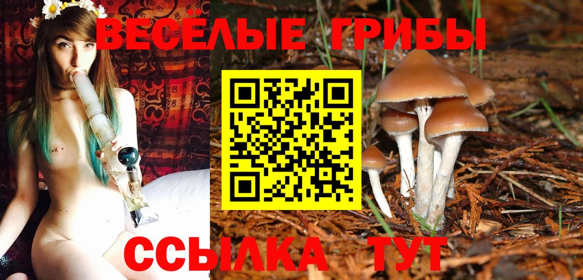 Псилоцибиновые грибы прущие грибы Петропавловск-Камчатский